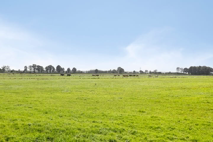 Photo 27 of Gerrit Imbosstraat 80