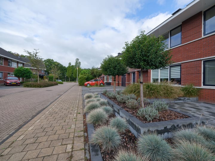 Foto 5 van Zaailand 60