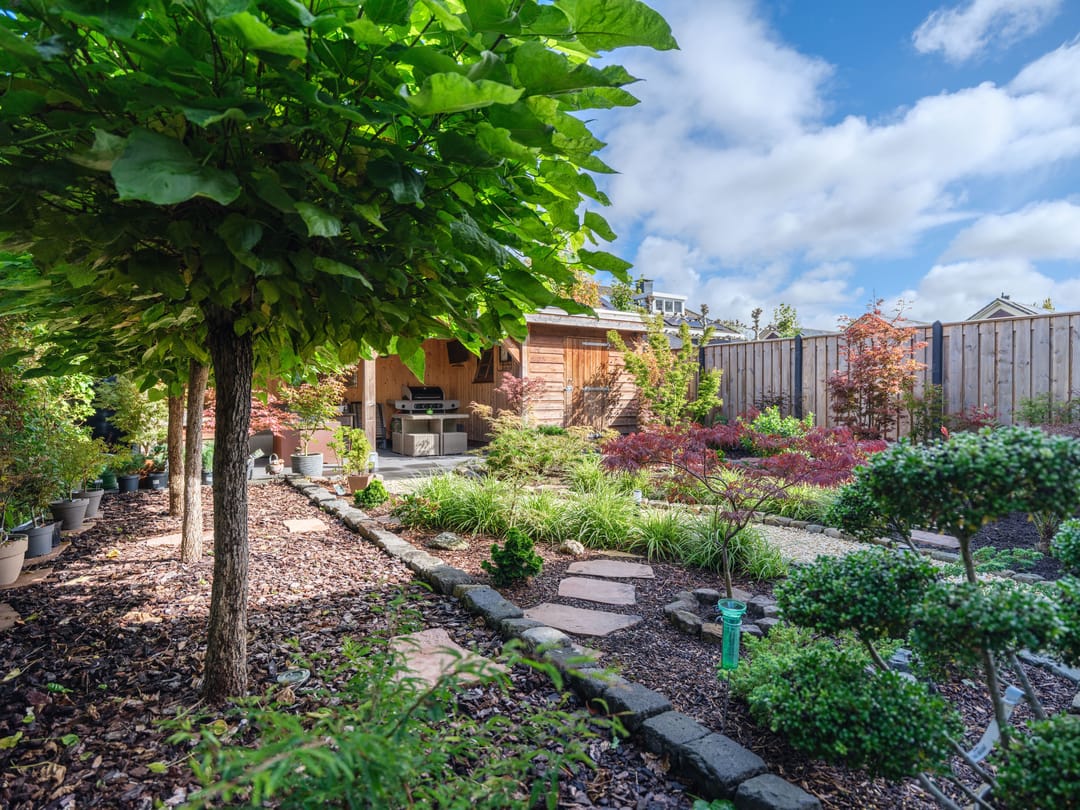 Photo 43 of Zaailand 60