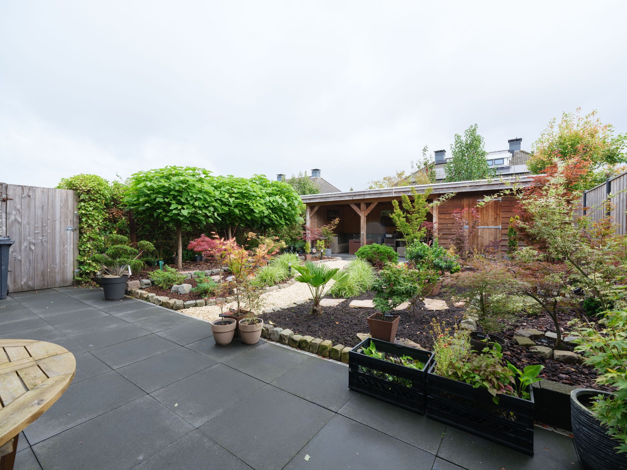 Photo 45 of Zaailand 60