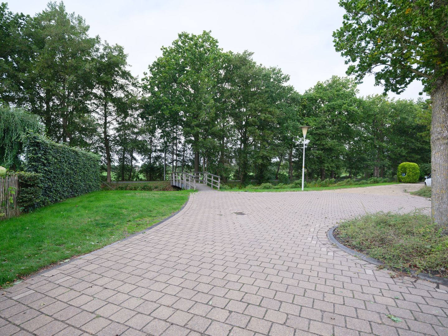 Photo 50 of Zaailand 60