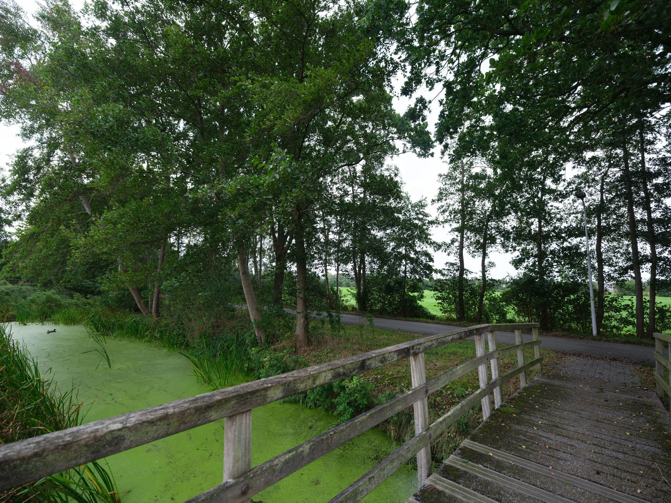 Photo 51 of Zaailand 60