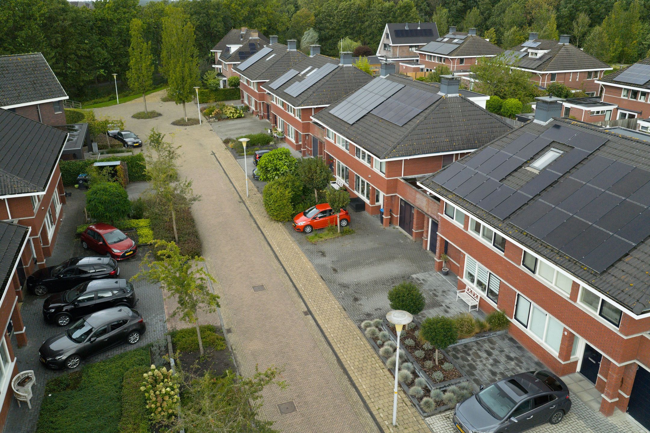 Photo 54 of Zaailand 60