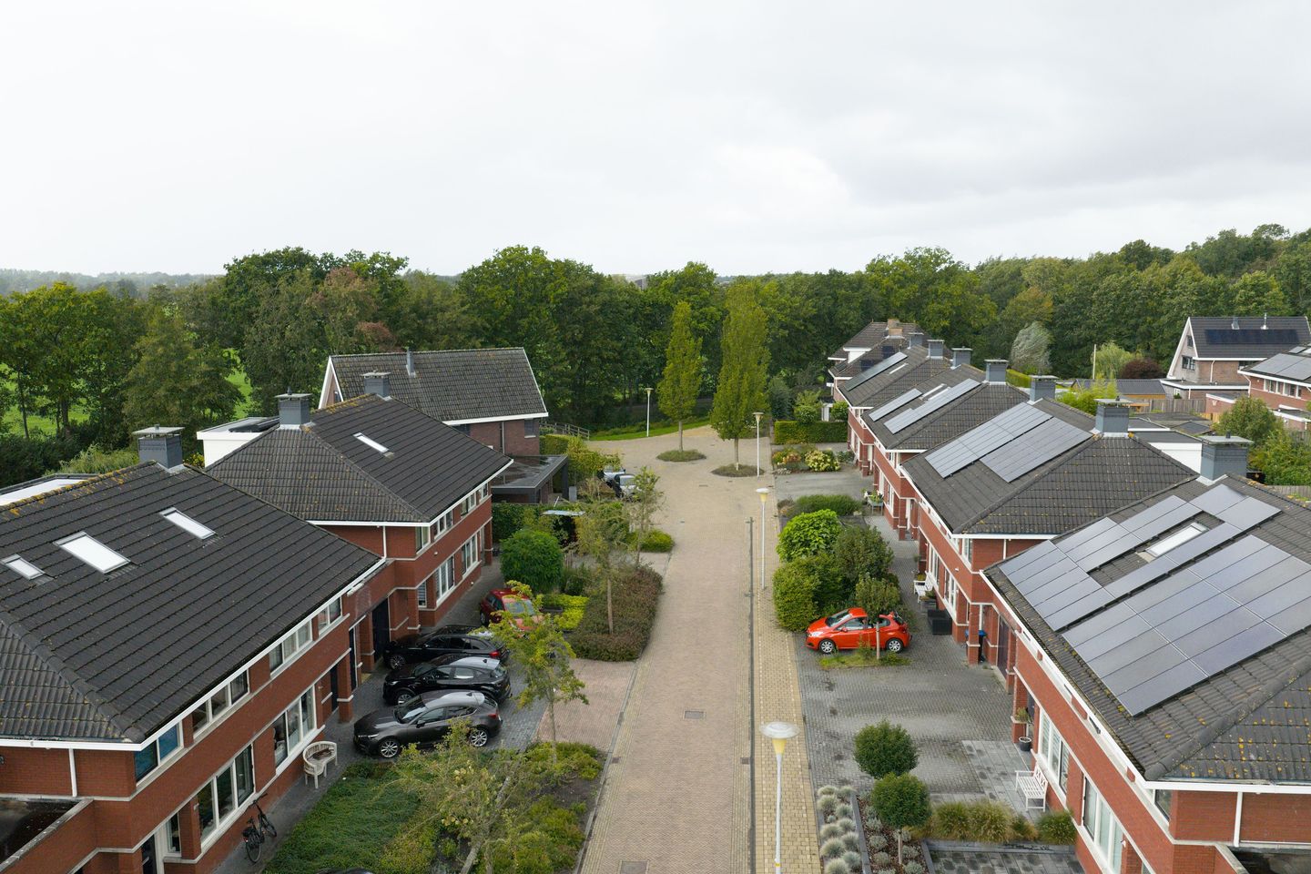 Photo 55 of Zaailand 60