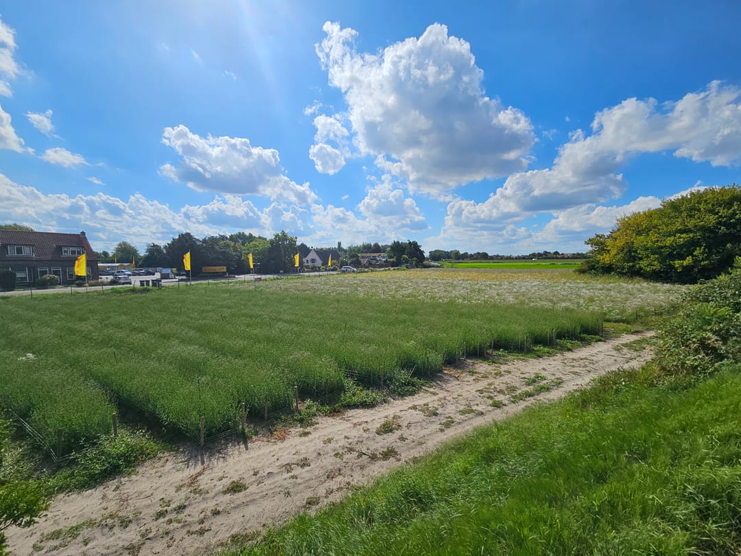 Foto 41 van Fazantenlaan 5