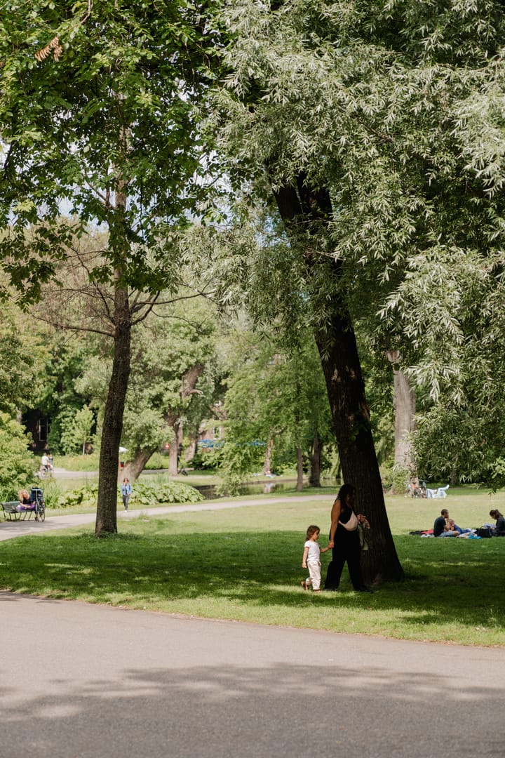 Foto 33 van Camperstraat 16-A