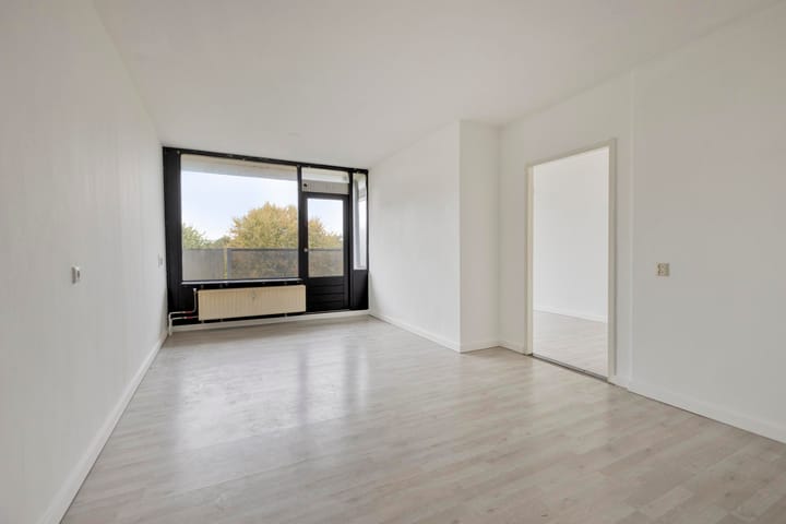 Foto 2 van Nassauplantsoen 73