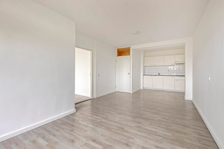 Foto 5 van Nassauplantsoen 73