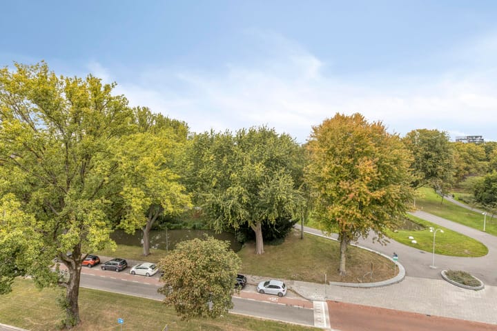 Photo 19 of Nassauplantsoen 73