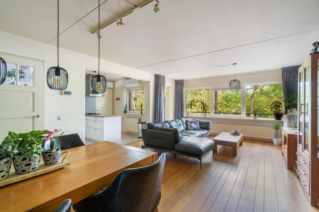 Foto 2 van Mantelmeeuw 2