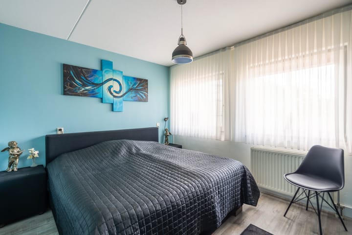 Foto 4 van Mantelmeeuw 2