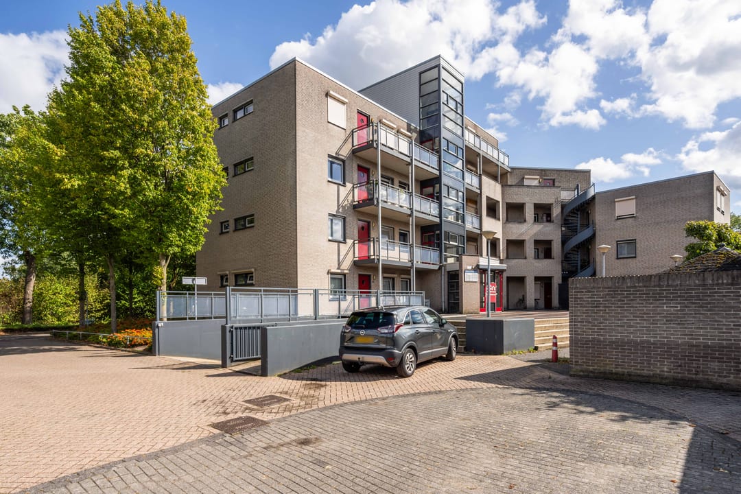 Foto 7 van Mantelmeeuw 2