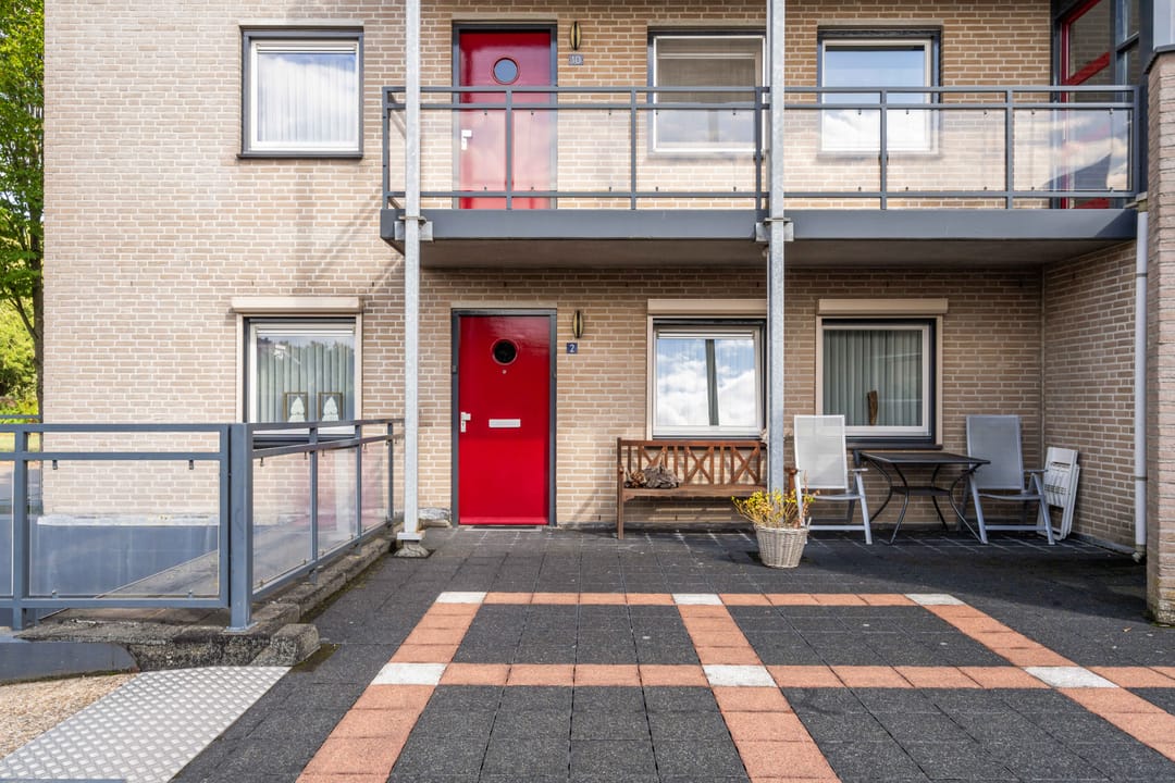 Foto 8 van Mantelmeeuw 2