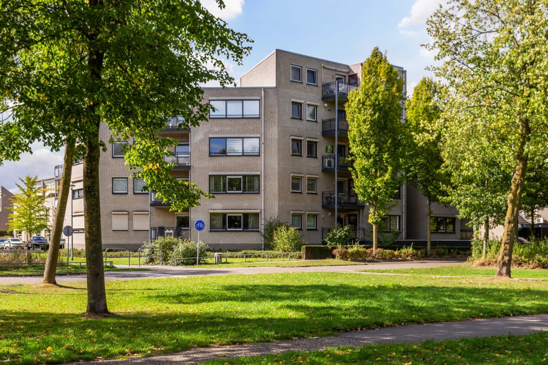 Foto 1 van Mantelmeeuw 2