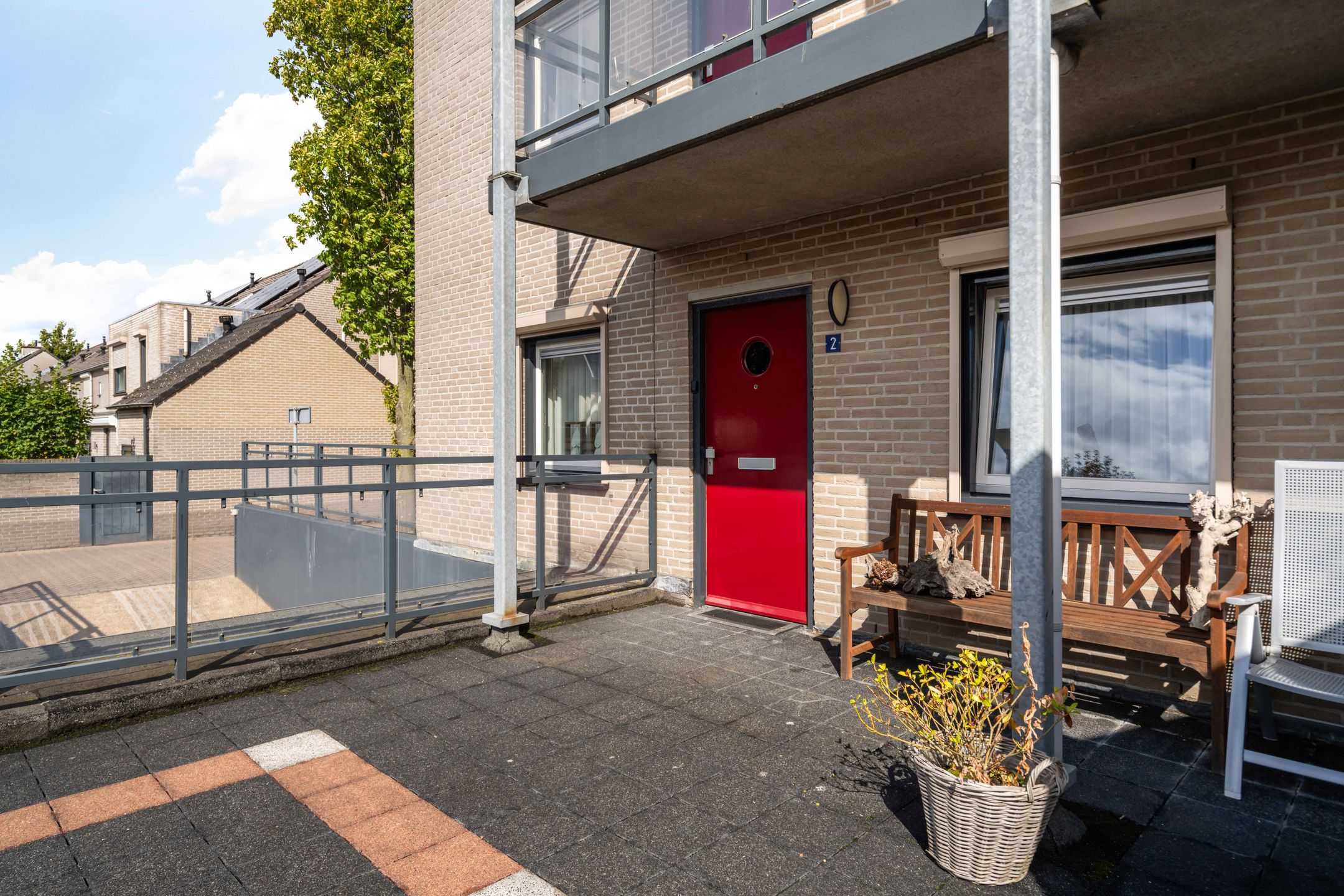 Foto 9 van Mantelmeeuw 2