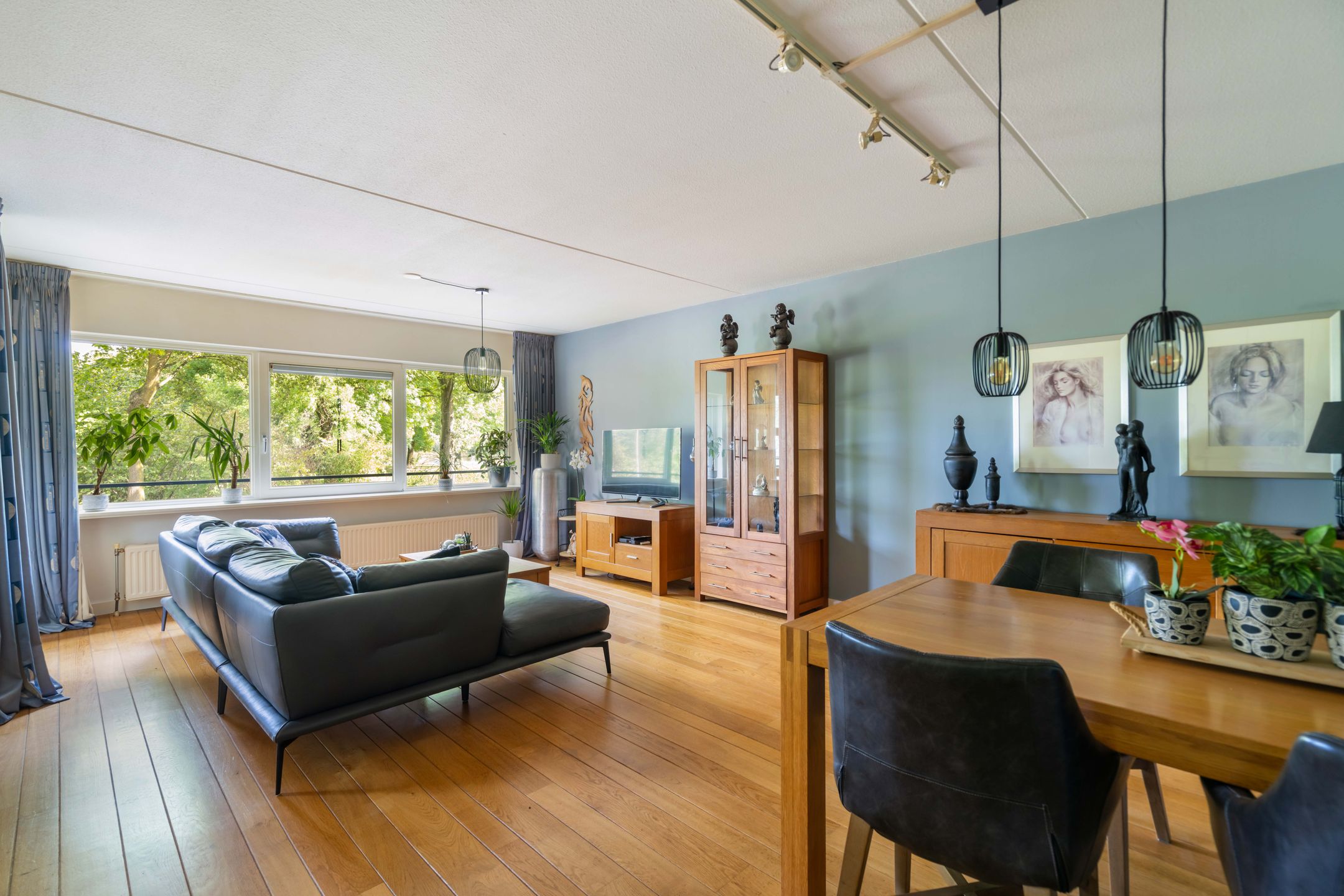 Foto 12 van Mantelmeeuw 2