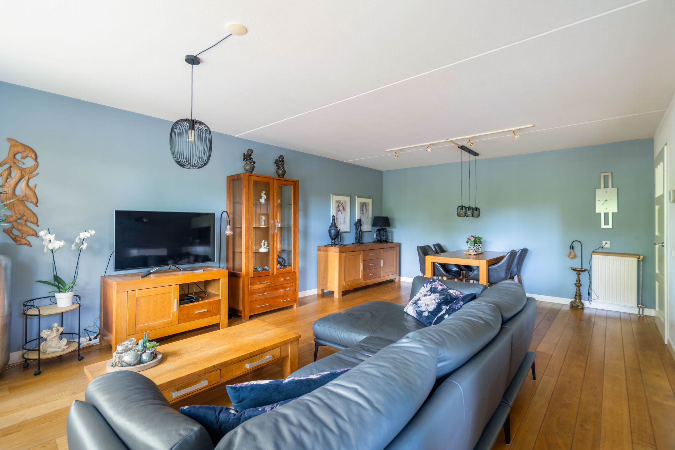 Foto 15 van Mantelmeeuw 2