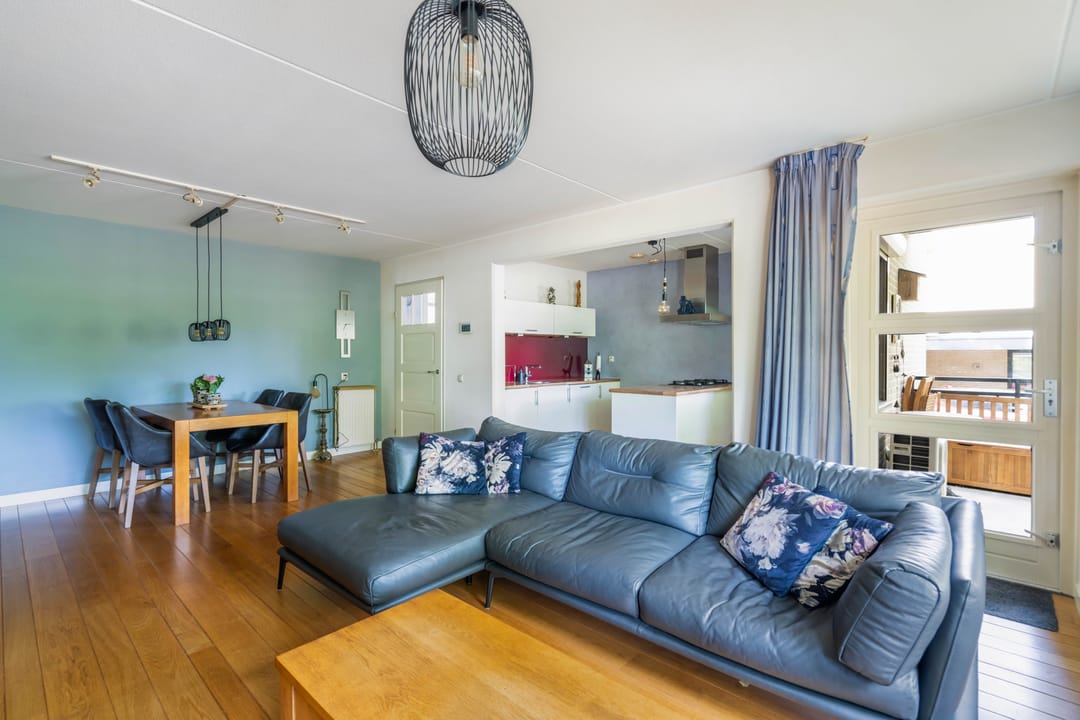 Foto 16 van Mantelmeeuw 2