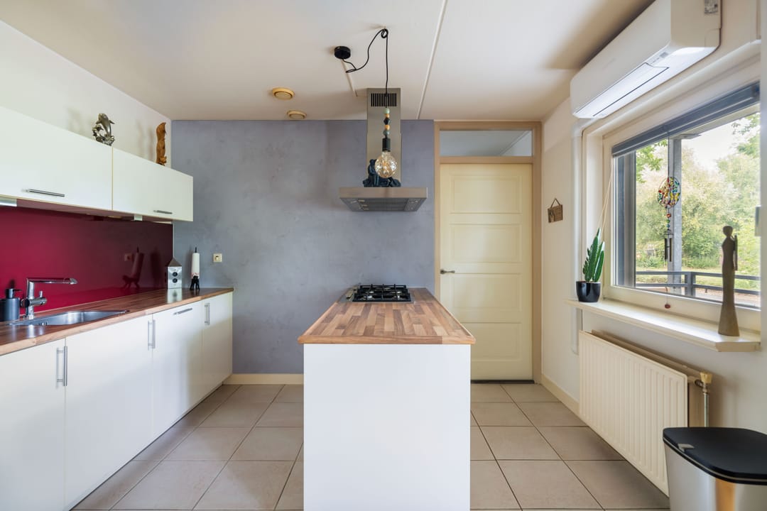 Foto 17 van Mantelmeeuw 2