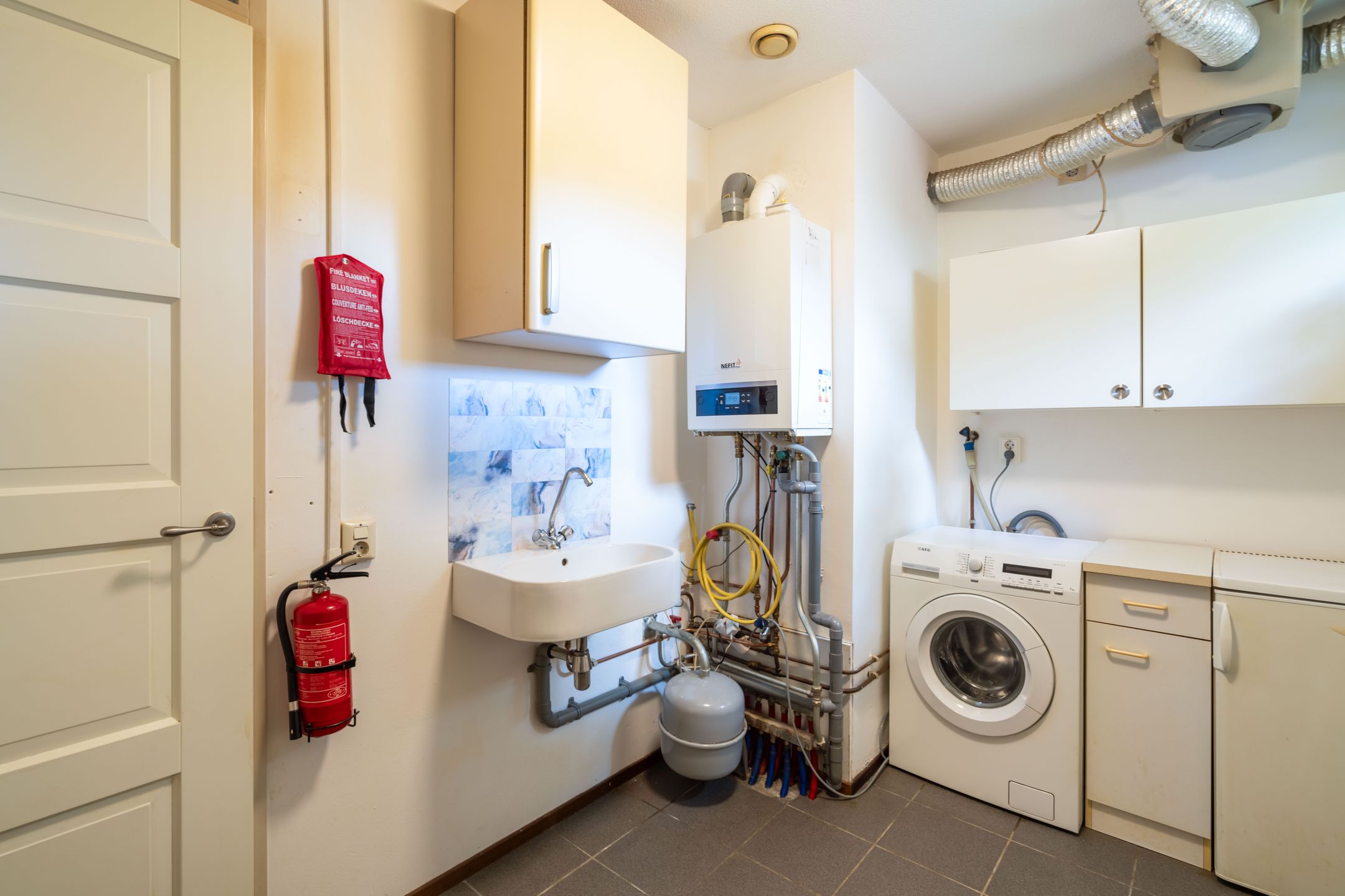 Foto 18 van Mantelmeeuw 2