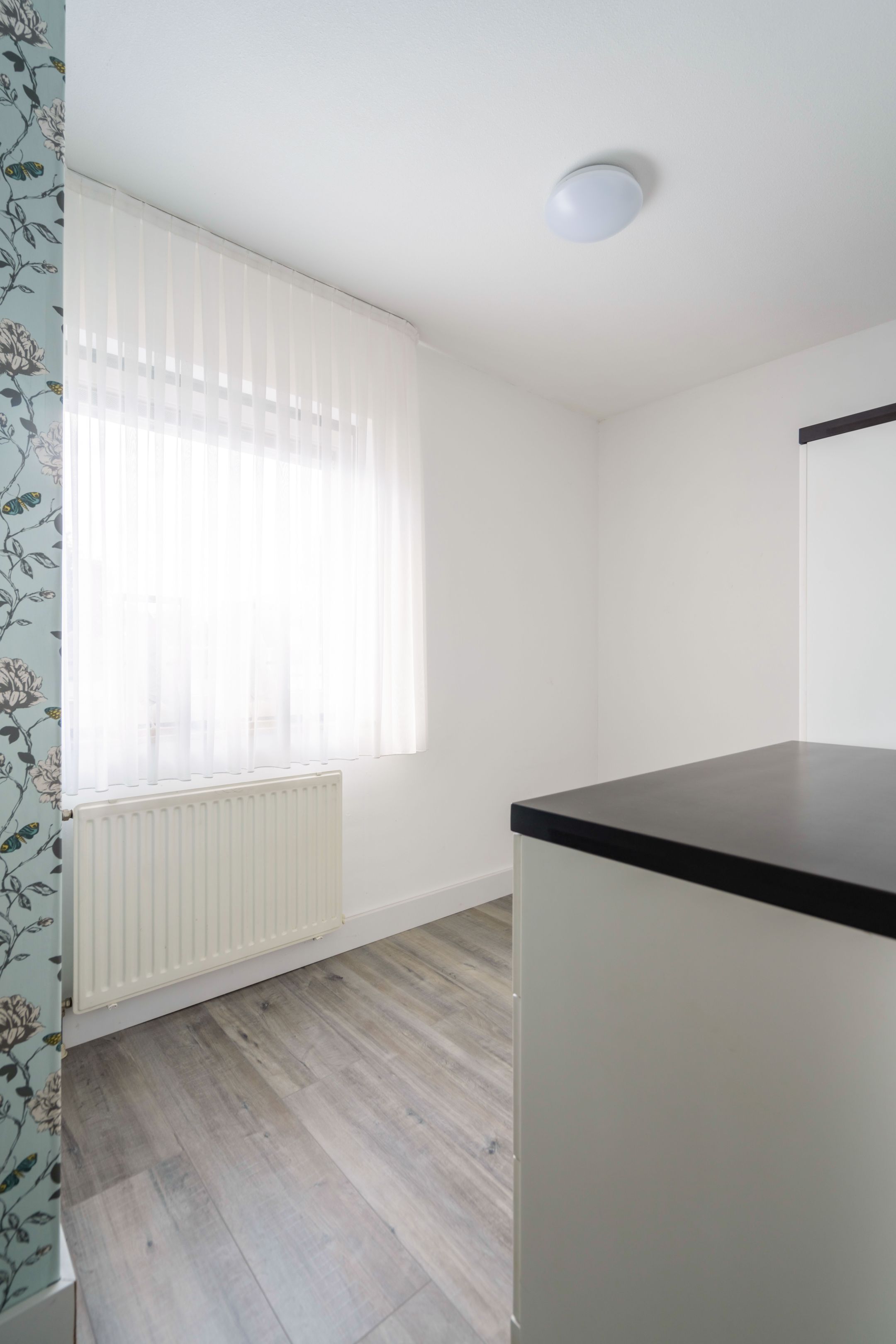 Foto 21 van Mantelmeeuw 2