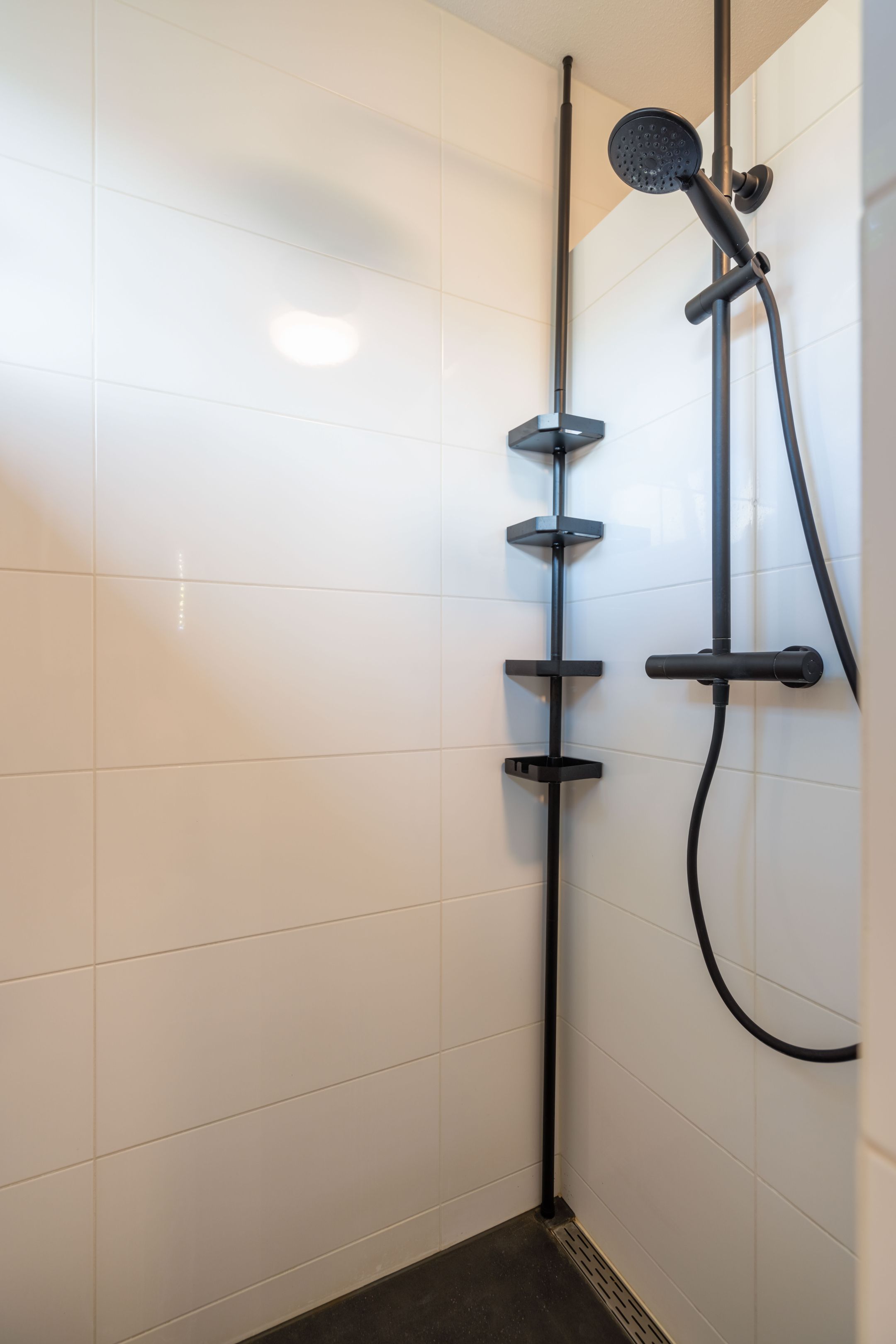 Foto 24 van Mantelmeeuw 2