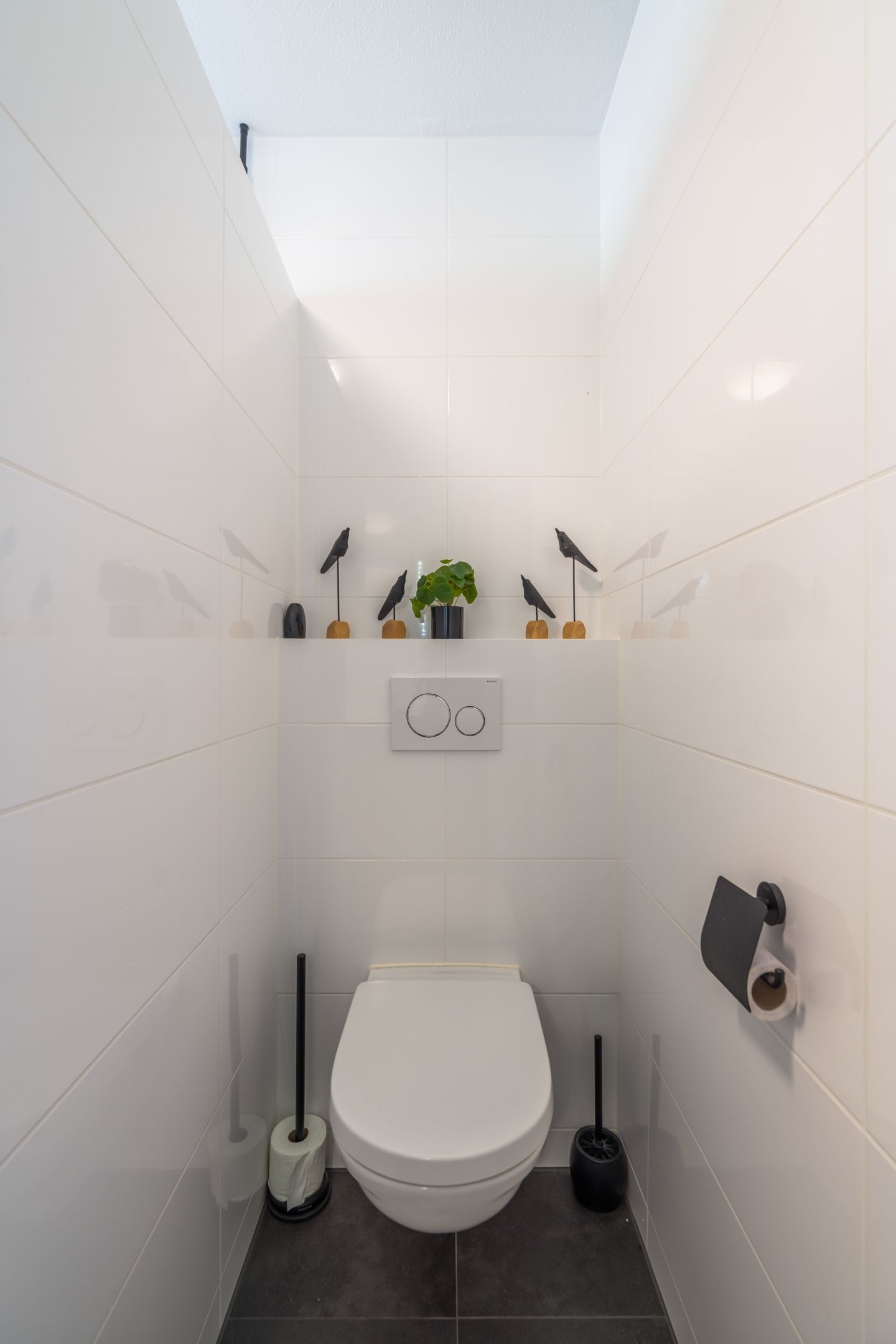 Foto 25 van Mantelmeeuw 2