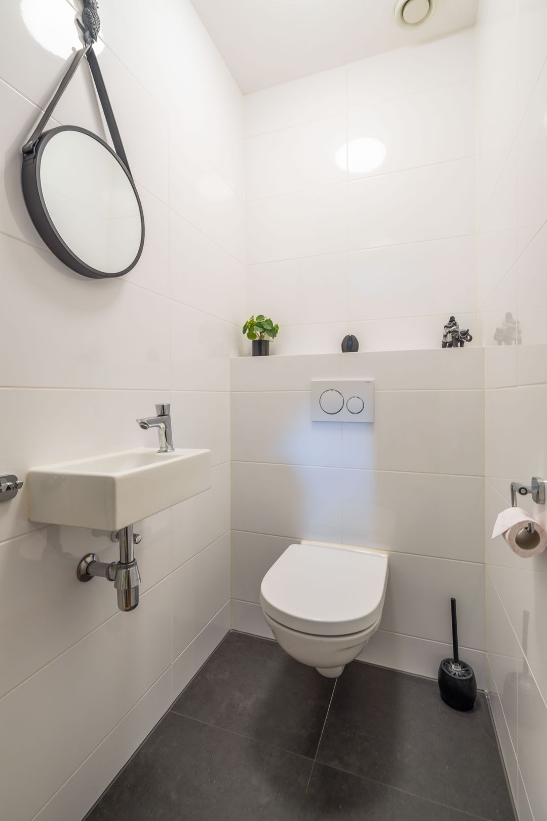 Foto 26 van Mantelmeeuw 2