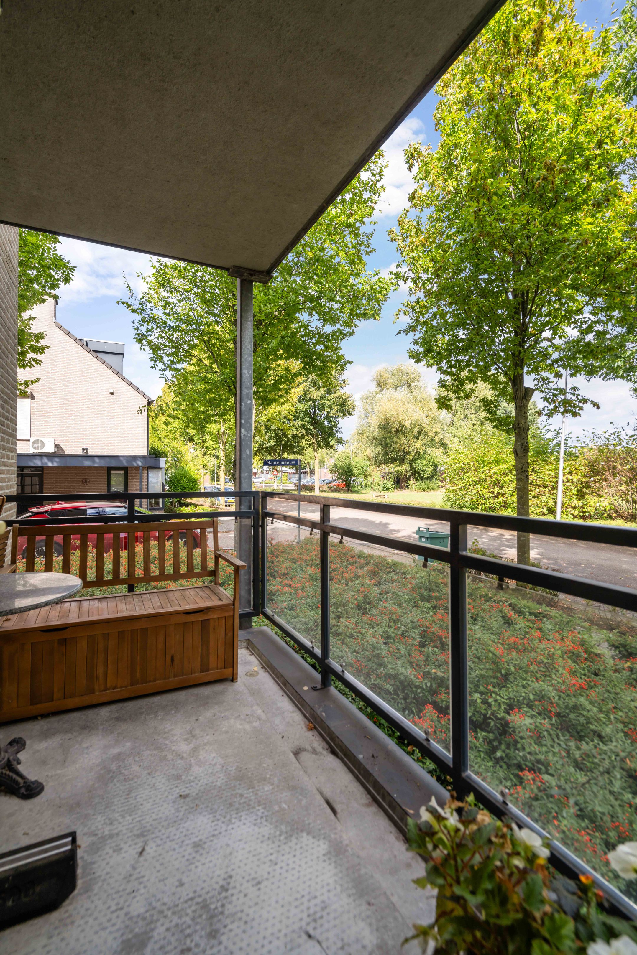 Foto 27 van Mantelmeeuw 2