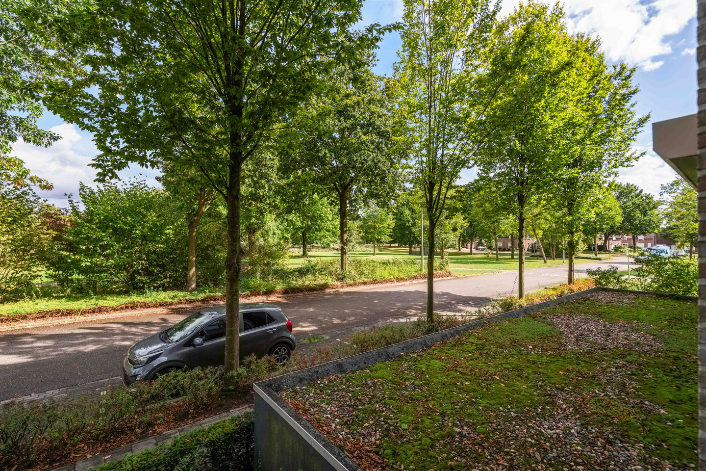 Foto 29 van Mantelmeeuw 2