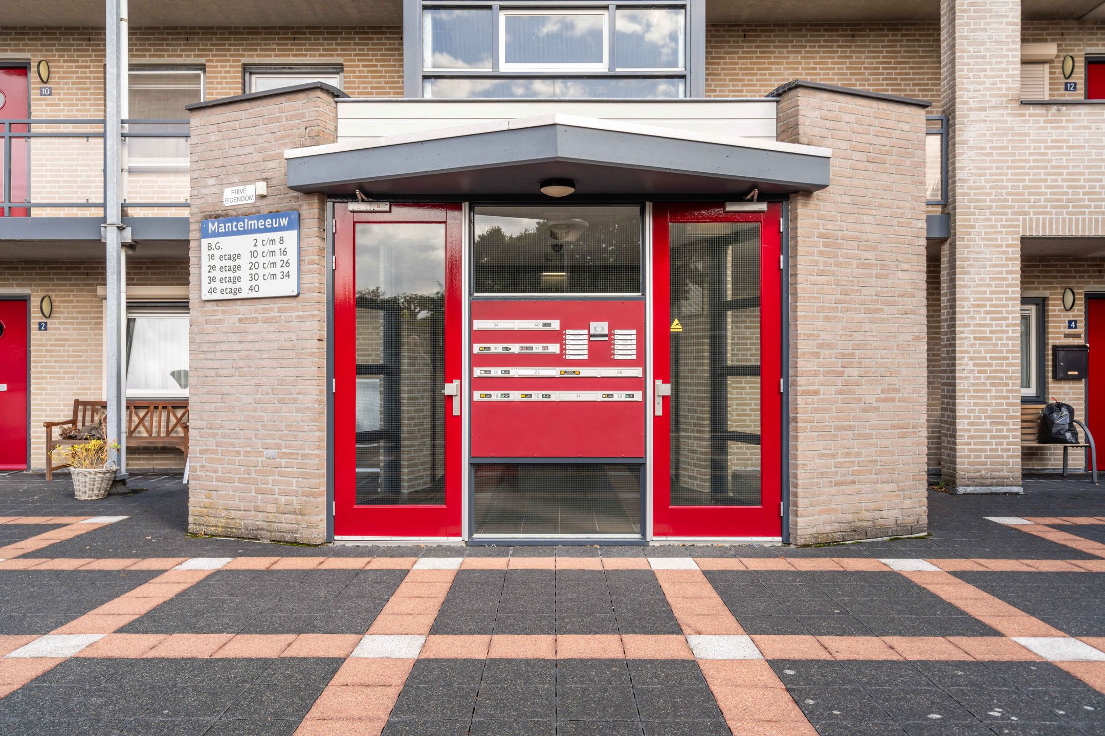 Foto 30 van Mantelmeeuw 2