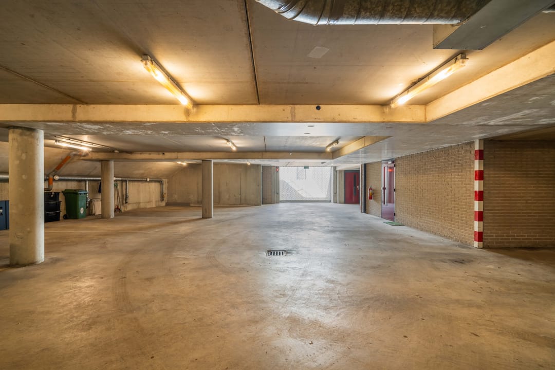 Foto 31 van Mantelmeeuw 2