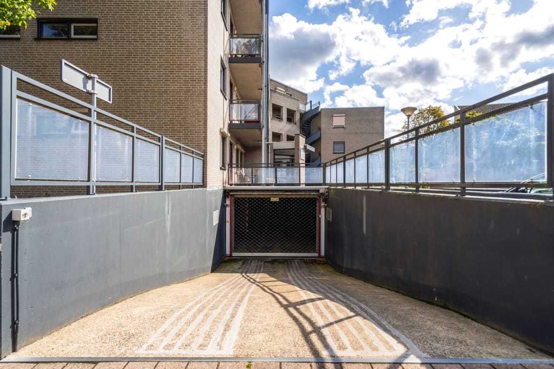 Foto 32 van Mantelmeeuw 2