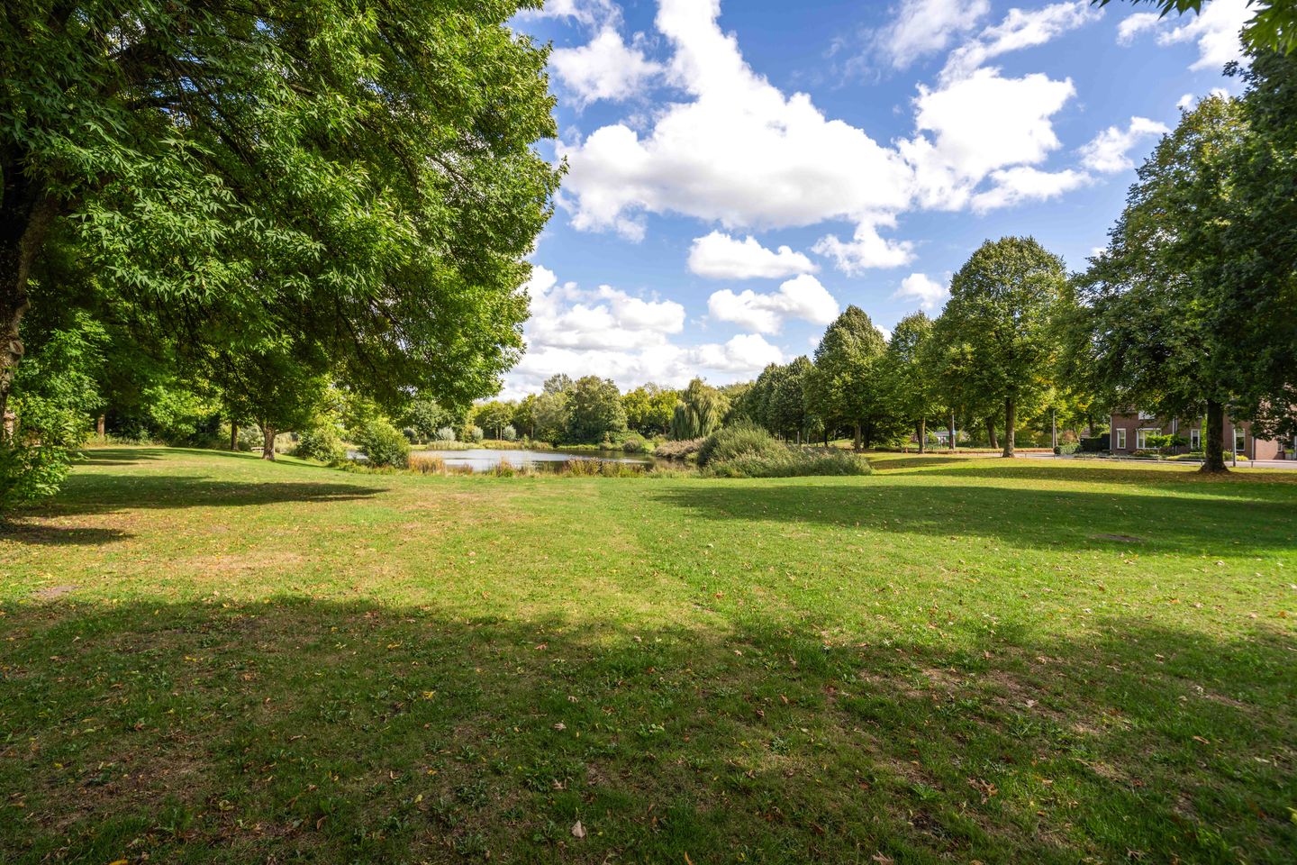 Foto 34 van Mantelmeeuw 2