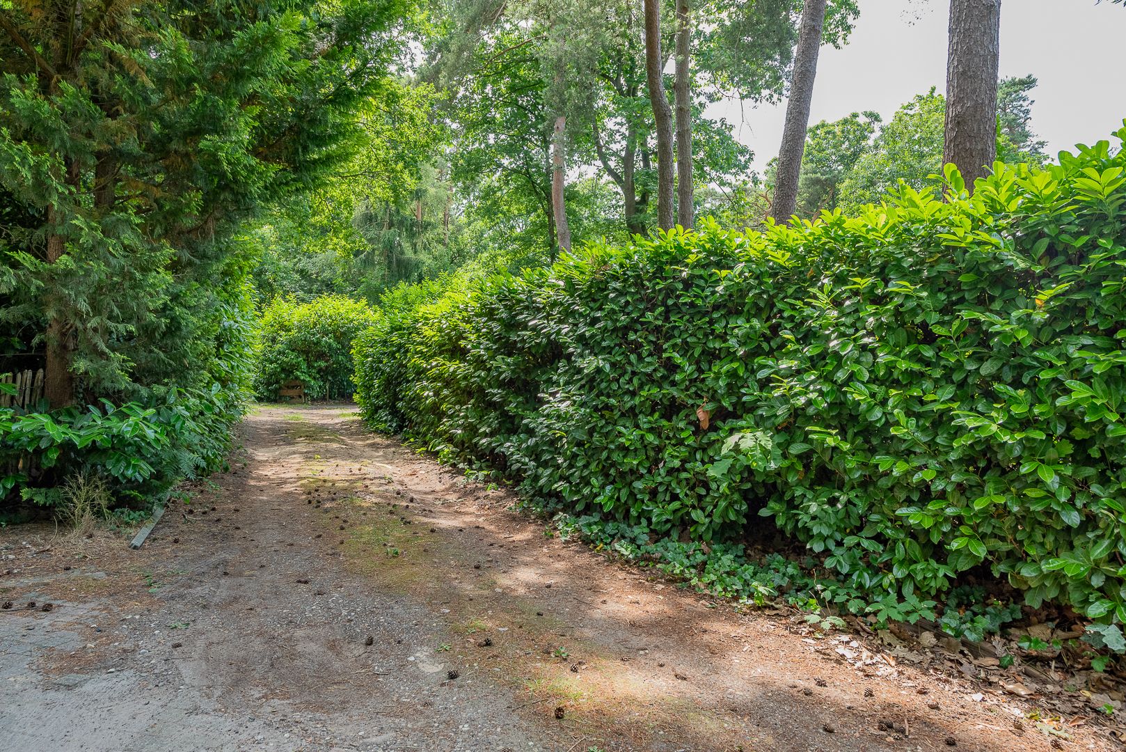 Foto 36 van Bongersweg 29