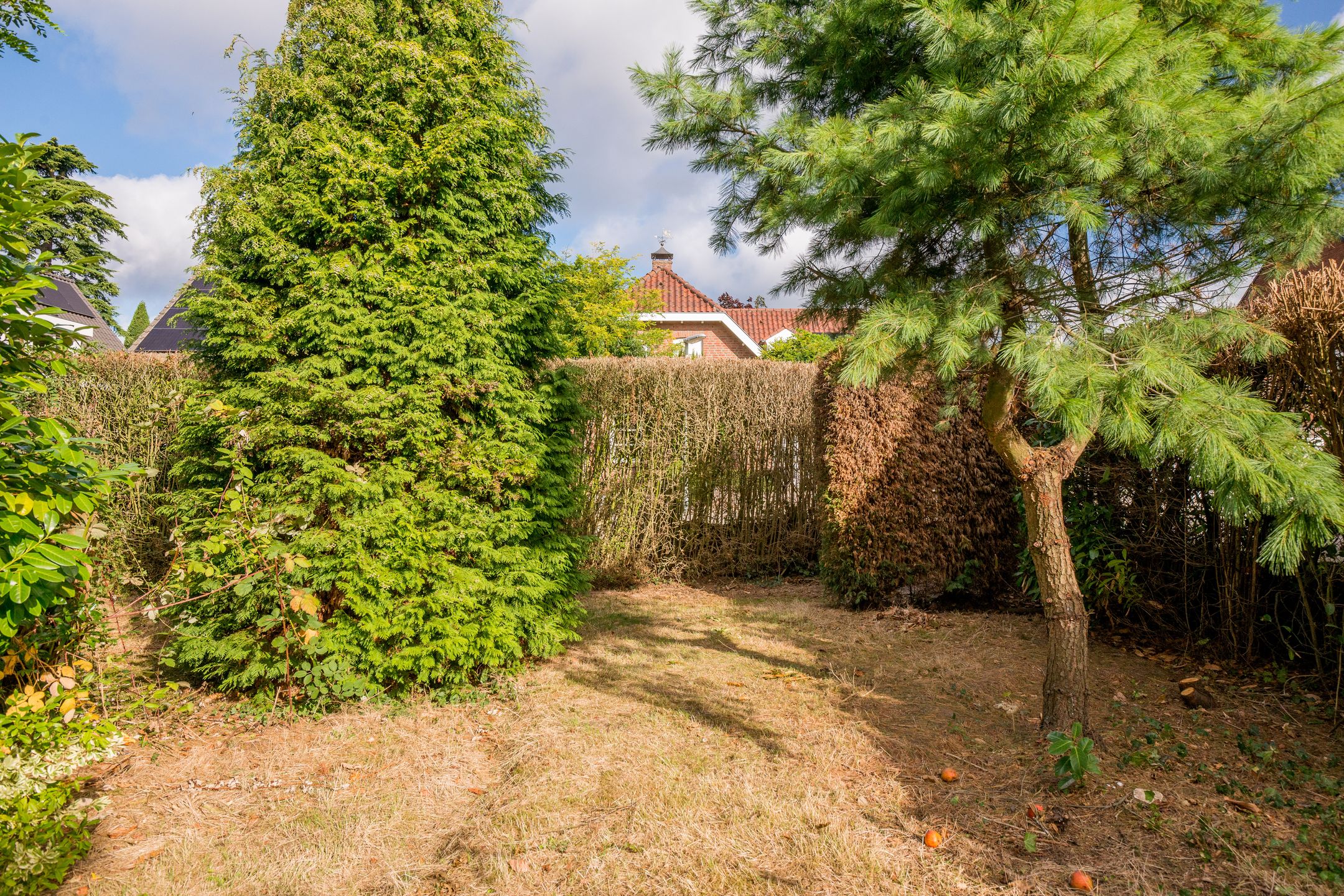 Photo 24 of Kruisstraat 8