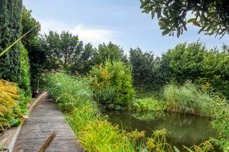 Hauwert 129 tertiary image