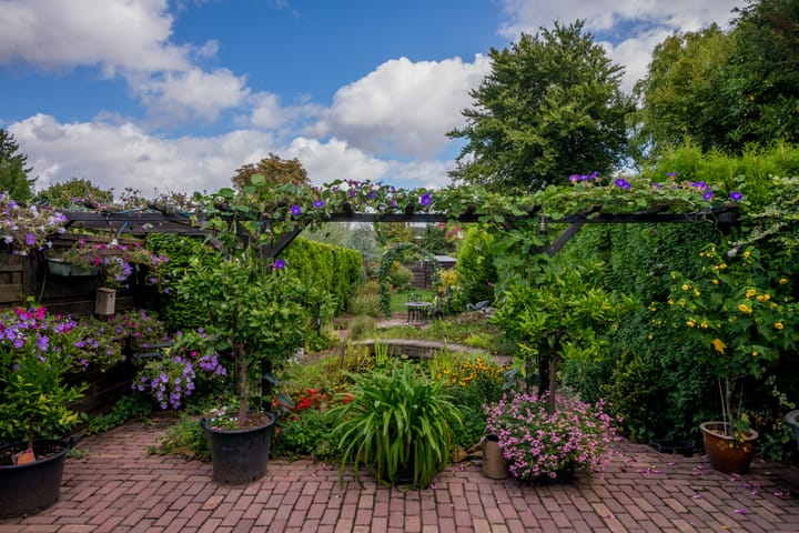 Foto 32 van Muntstraat 105