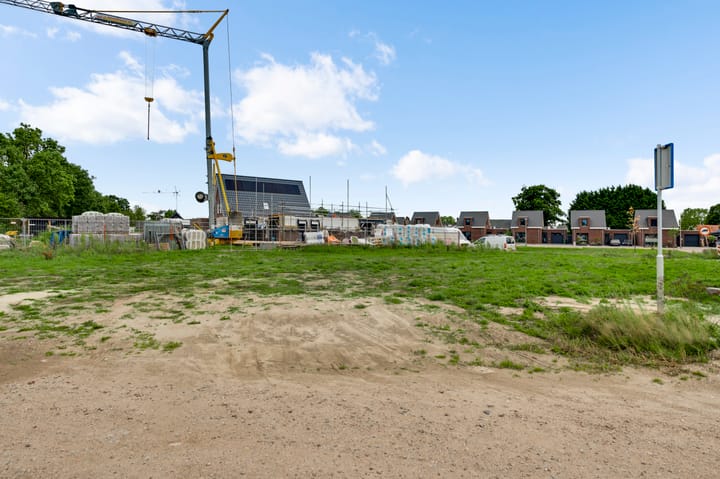 Photo 5 of Lewieze 16