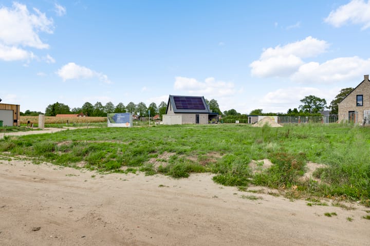 Photo 8 of Lewieze 16