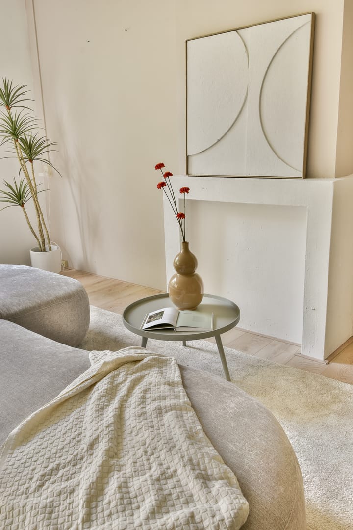 Photo 6 of Karel du Jardinstraat 62-A3