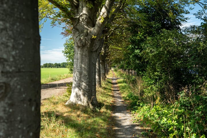 Foto 4 van Ds. Germsweg 5