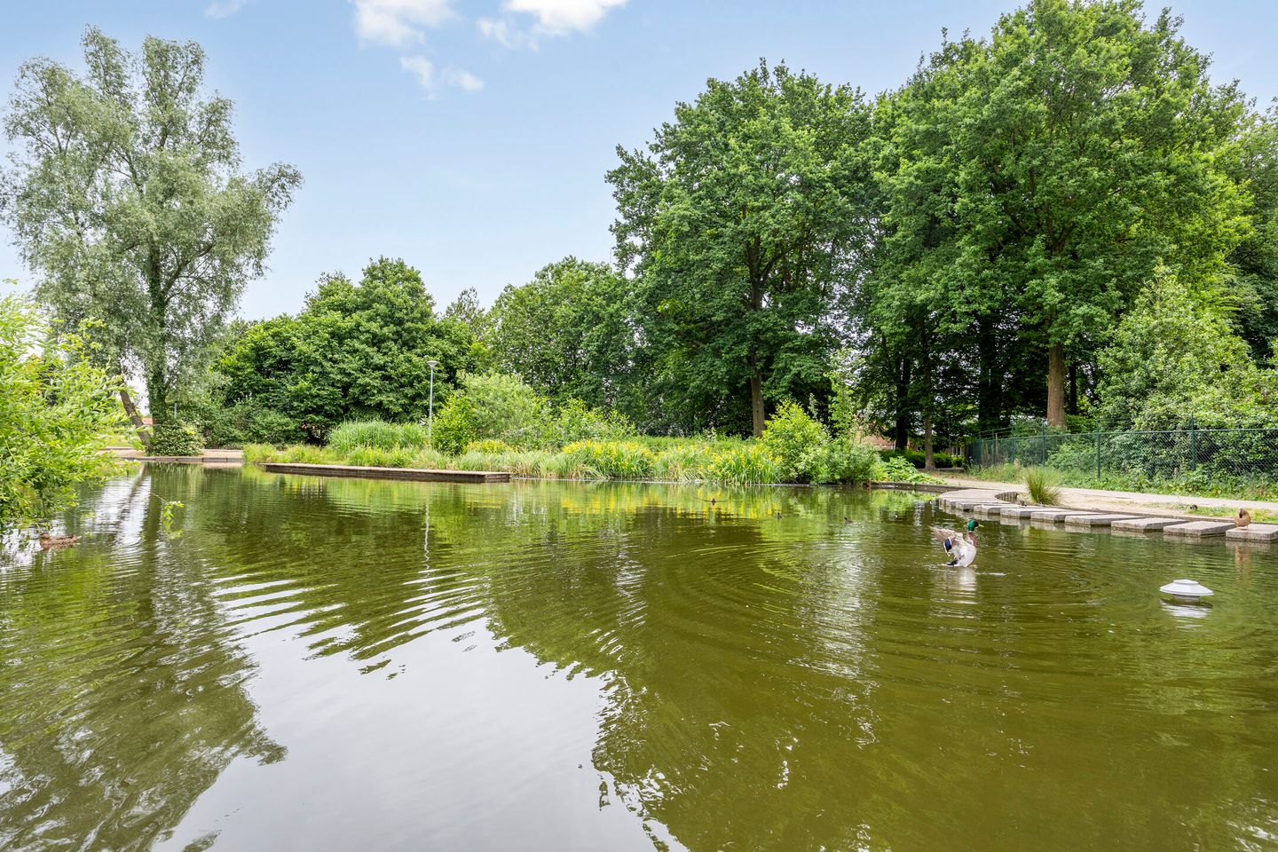 Photo 35 of Hoogschoor 15