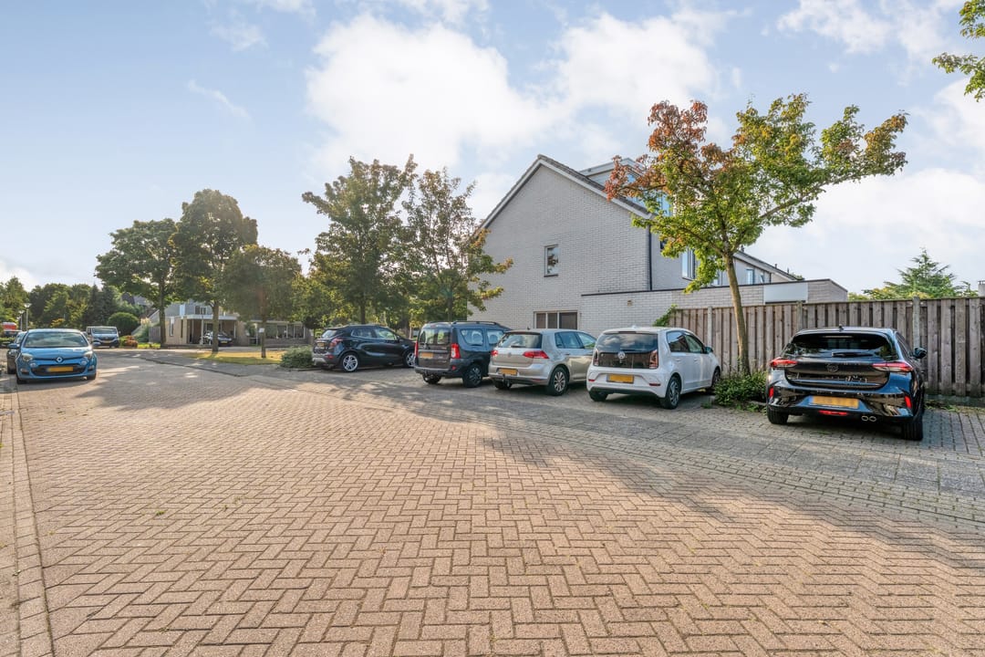 Foto 41 van Grasklokje 10