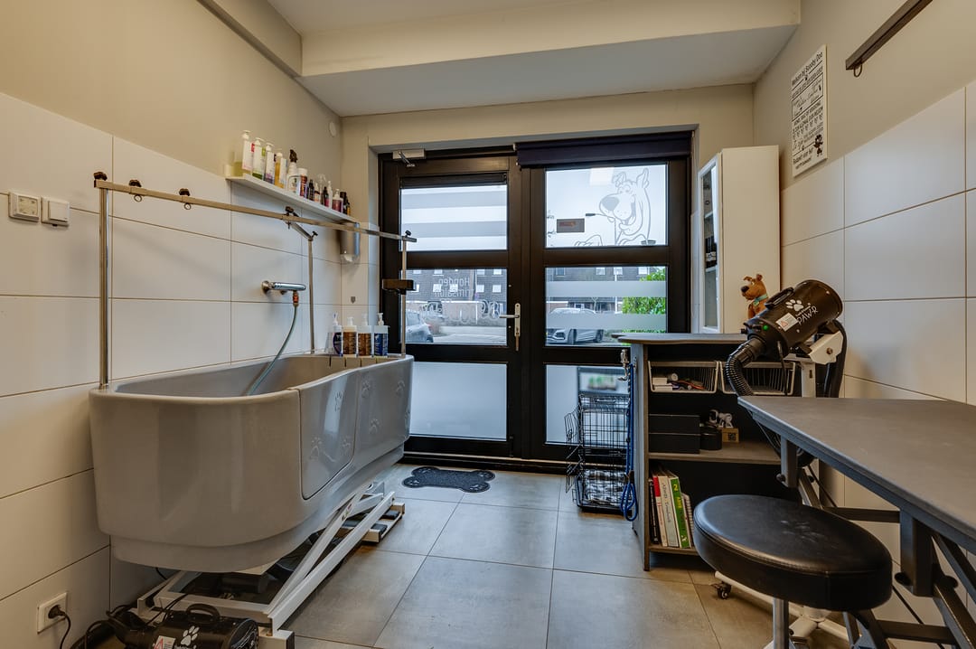 Photo 26 of Staartmolen 1