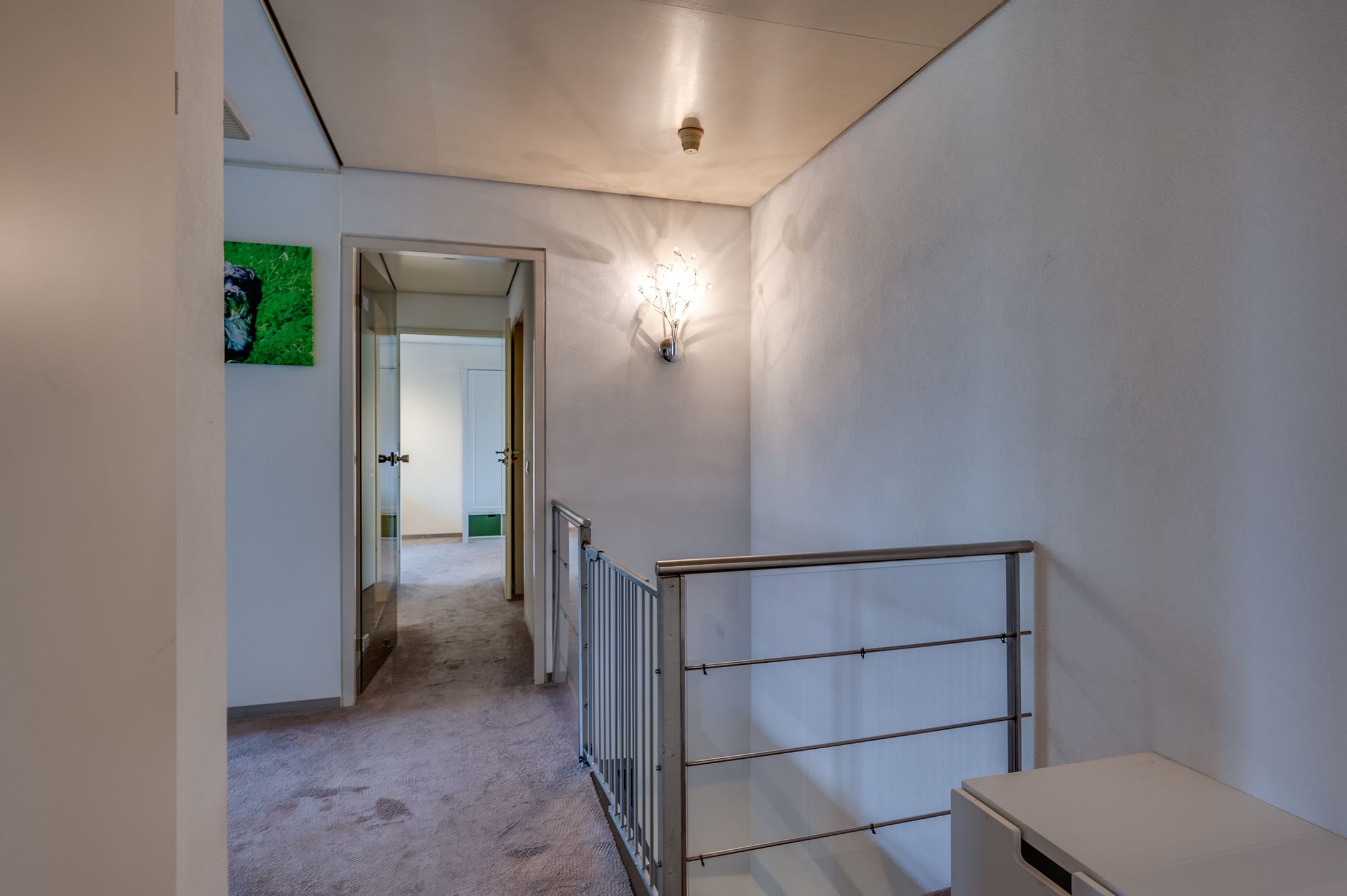 Photo 30 of Staartmolen 1