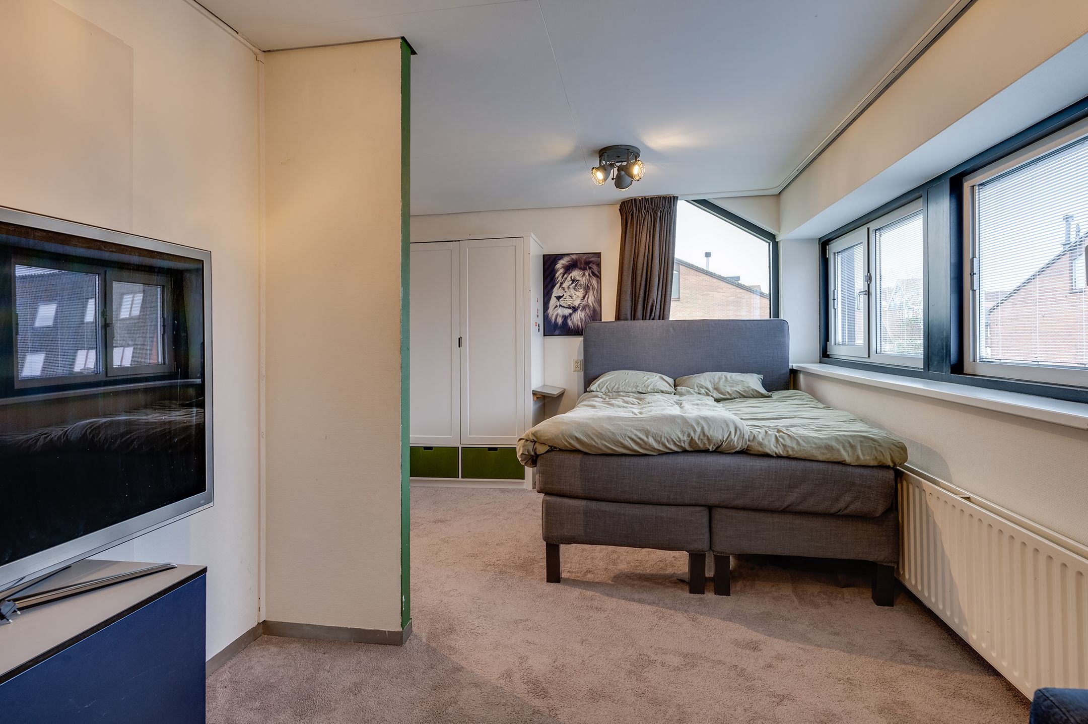 Photo 42 of Staartmolen 1