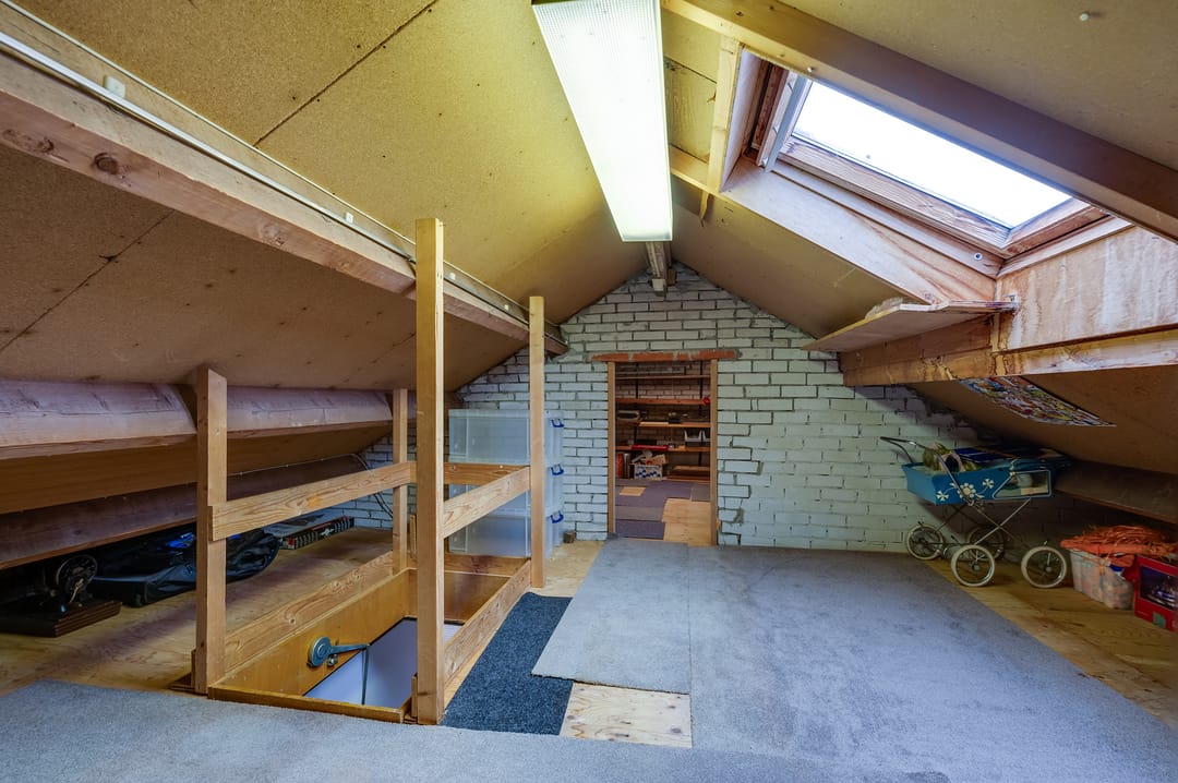 Photo 47 of Staartmolen 1