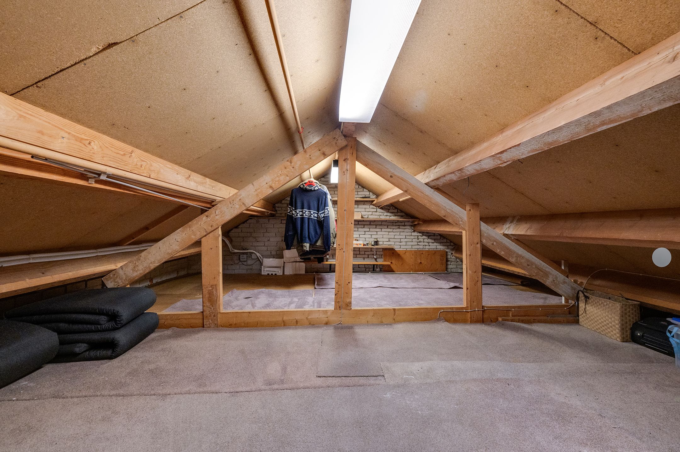 Photo 48 of Staartmolen 1