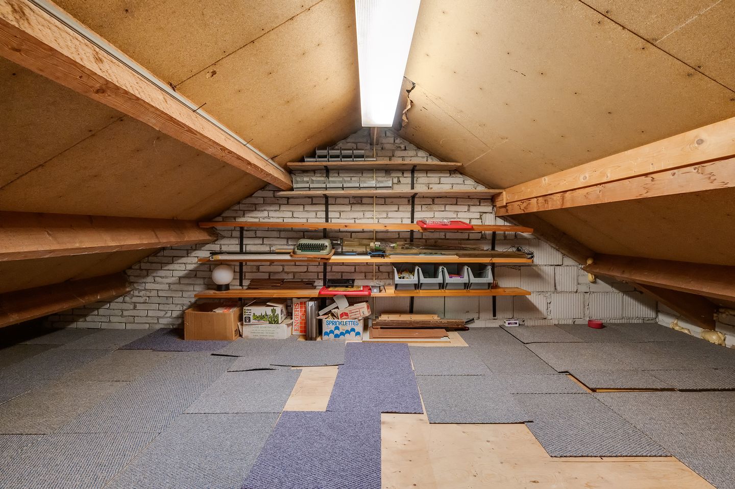 Photo 49 of Staartmolen 1